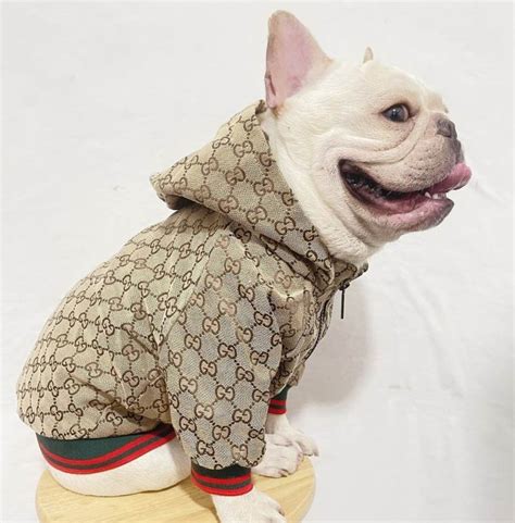 gucci pet bestellen|gucci pet clothes.